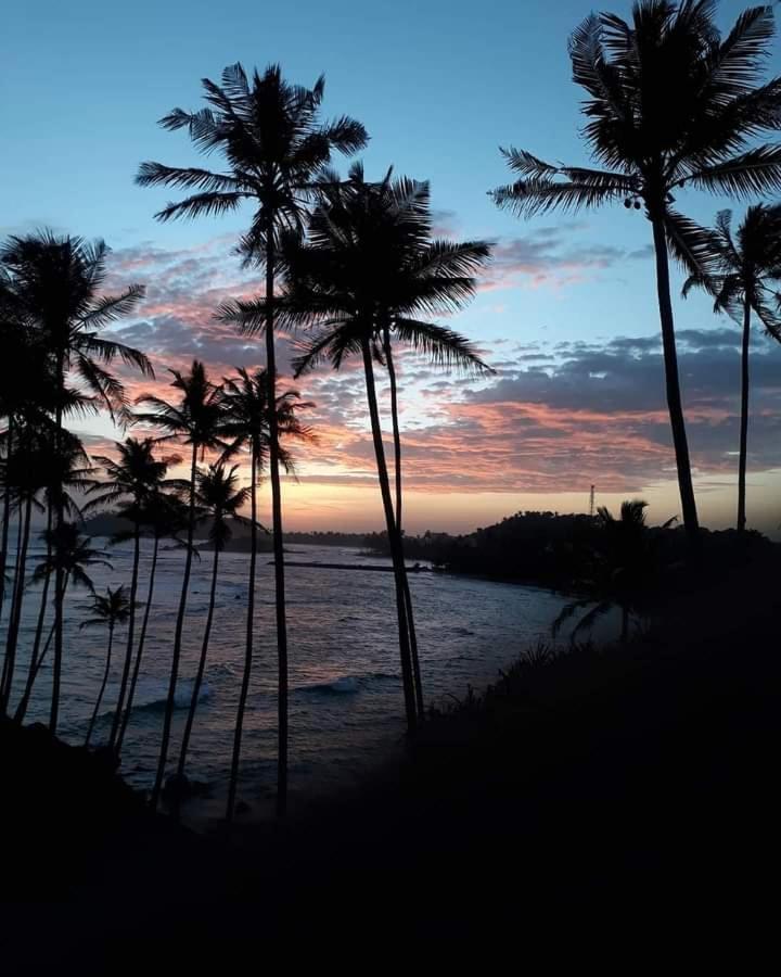 Coconut Reach Hotel Mirissa Eksteriør billede