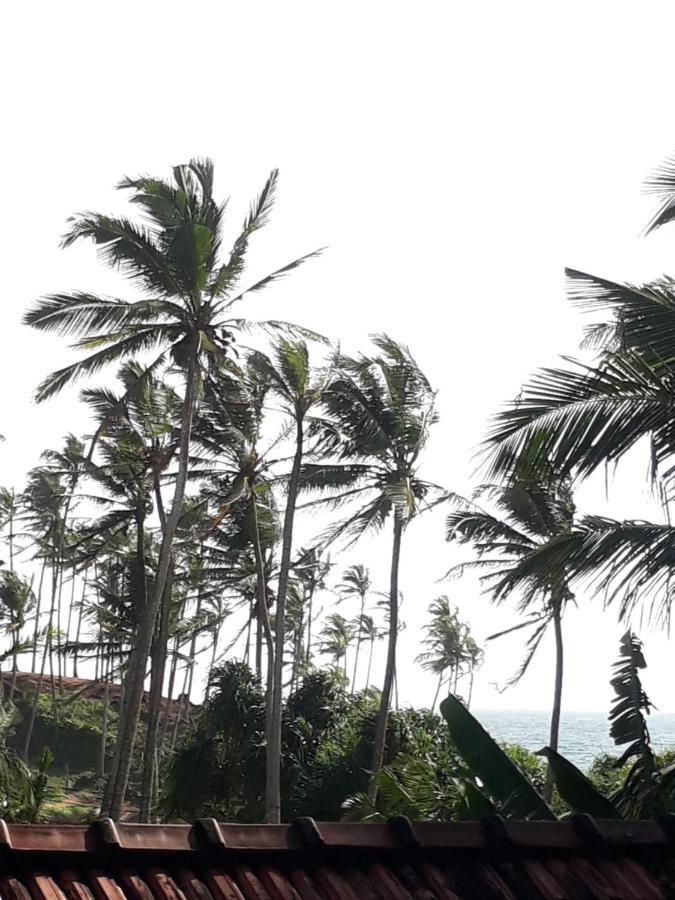 Coconut Reach Hotel Mirissa Eksteriør billede