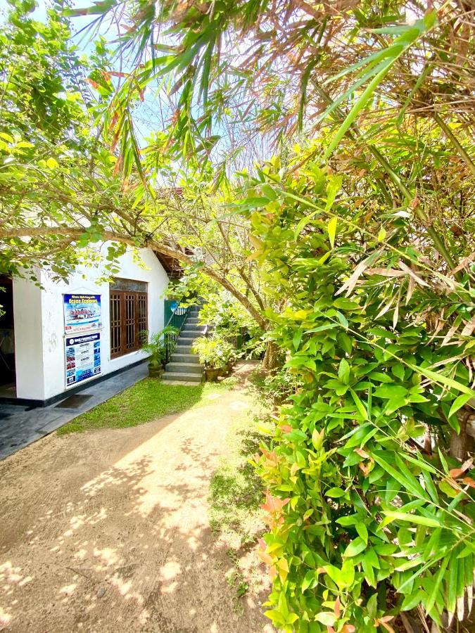 Coconut Reach Hotel Mirissa Eksteriør billede