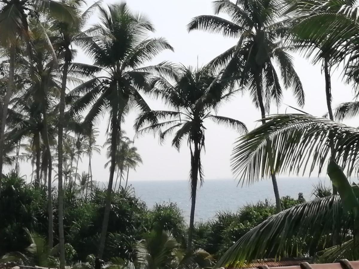 Coconut Reach Hotel Mirissa Eksteriør billede