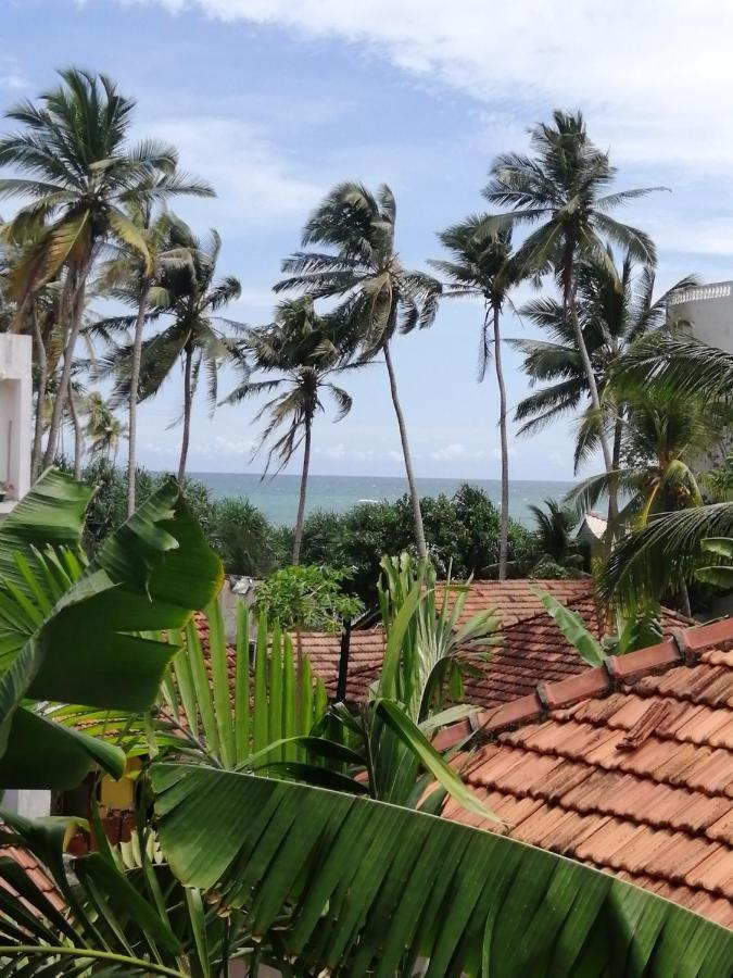 Coconut Reach Hotel Mirissa Eksteriør billede